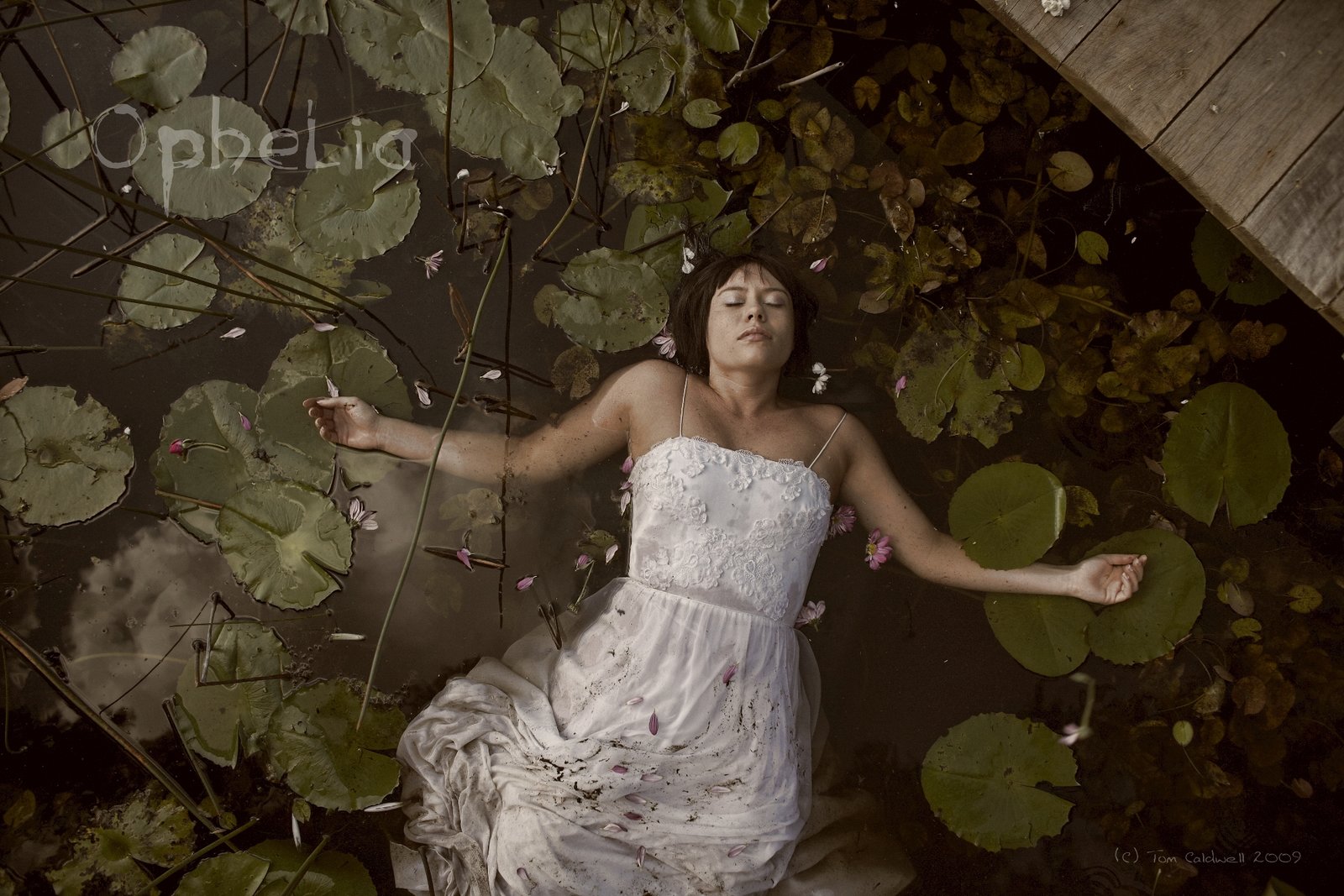 IMG_0028-012-Ophelia-01C.jpg