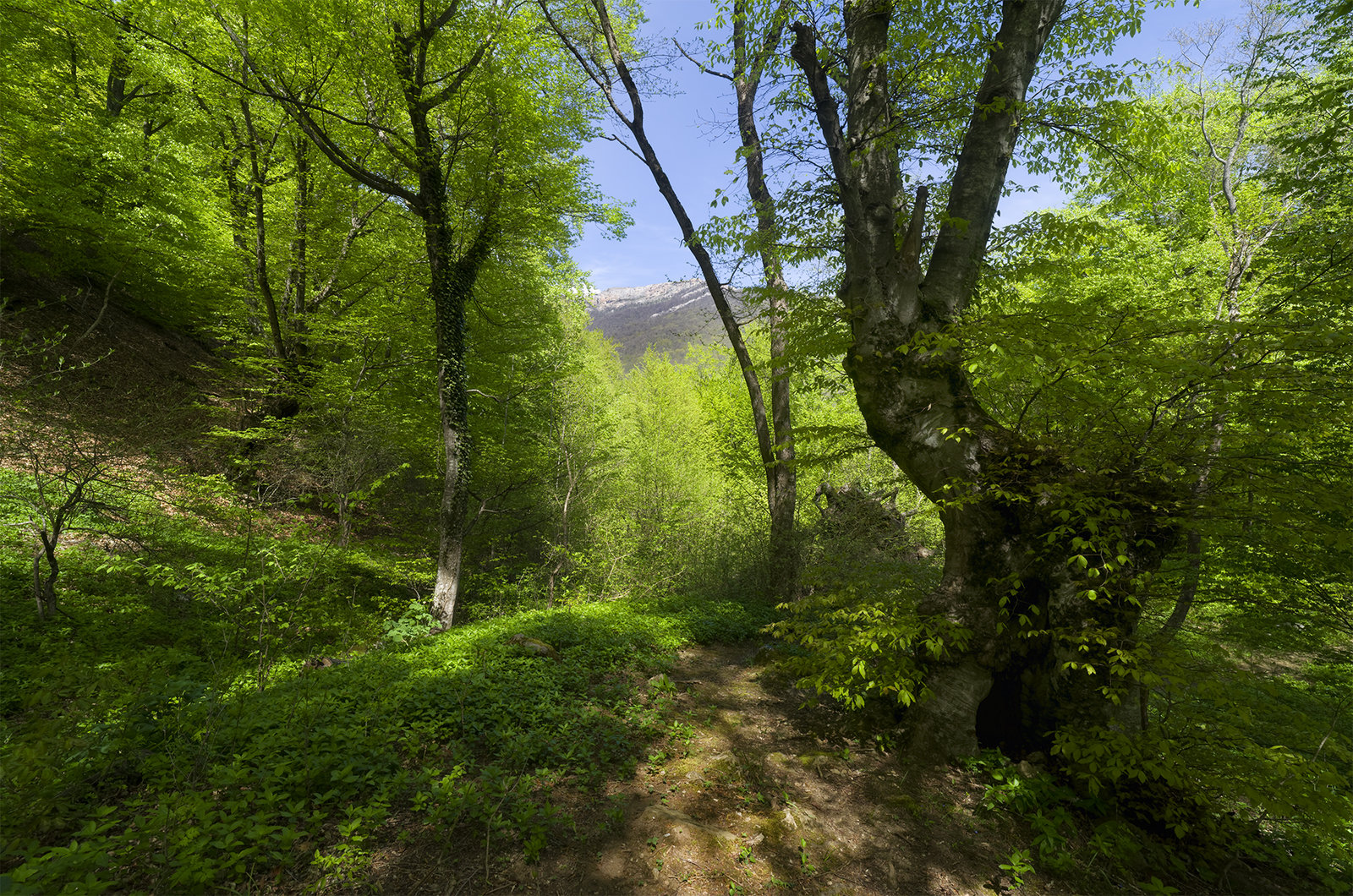 K1M0881_DxO_1920 copy.jpg