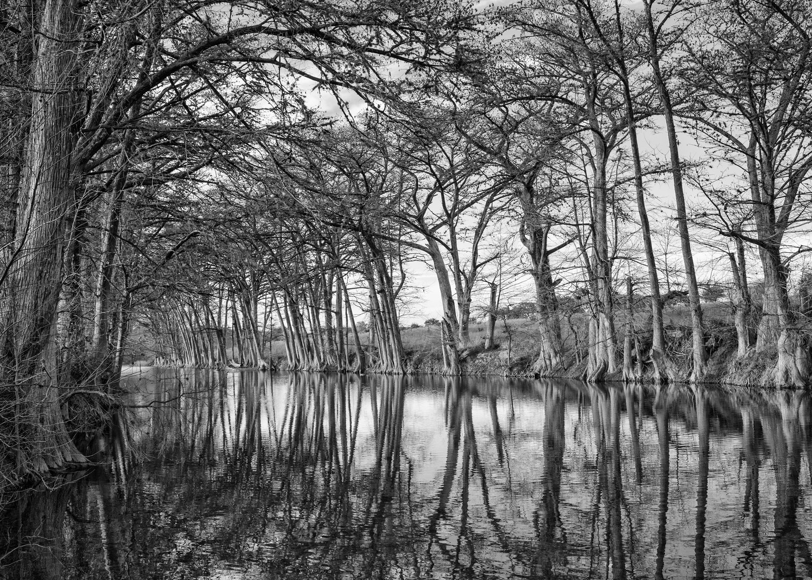 MedinaRiver_DSC3544-M1_M_7x5_20230425.jpg