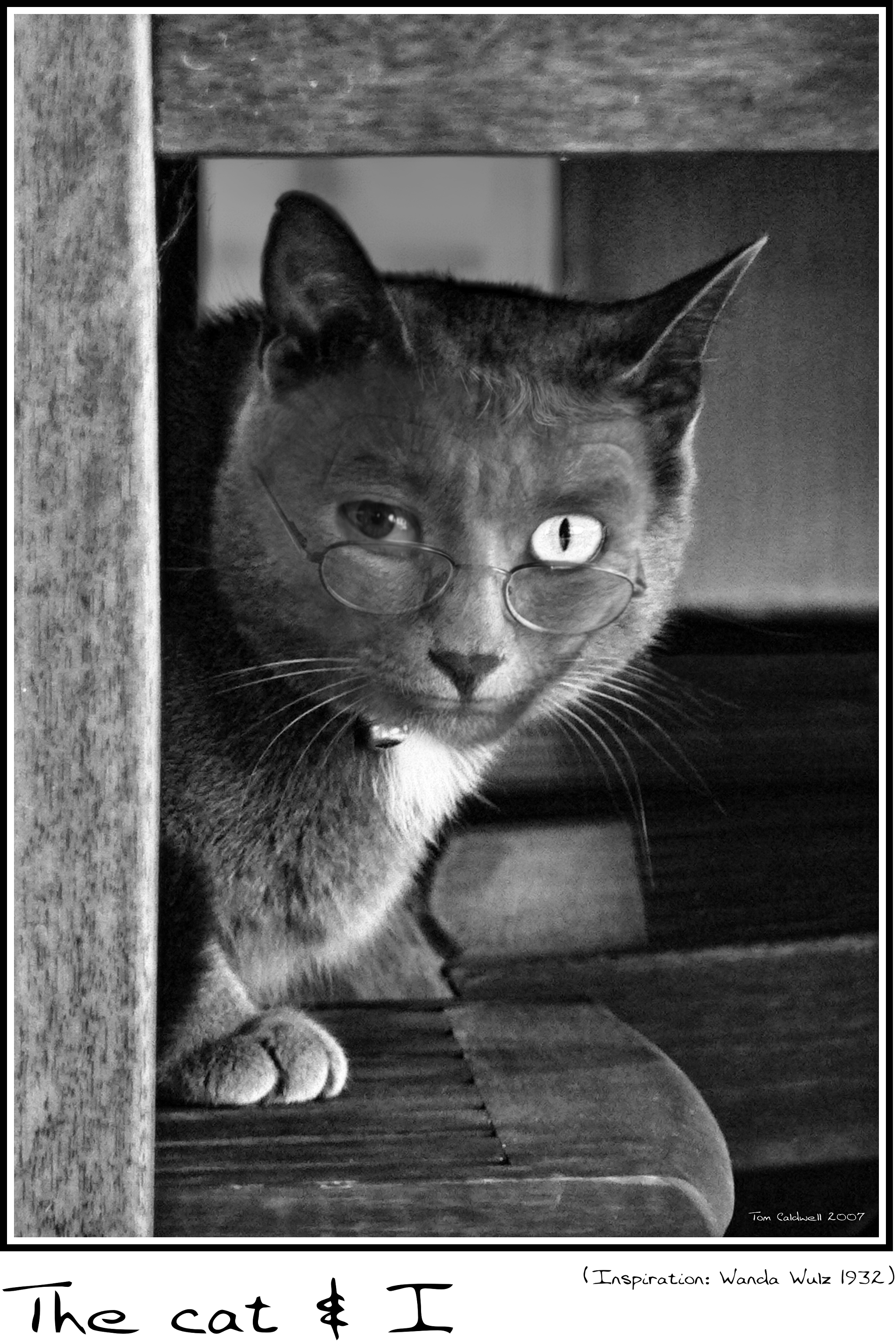 myselfcat-6131c-01.jpg