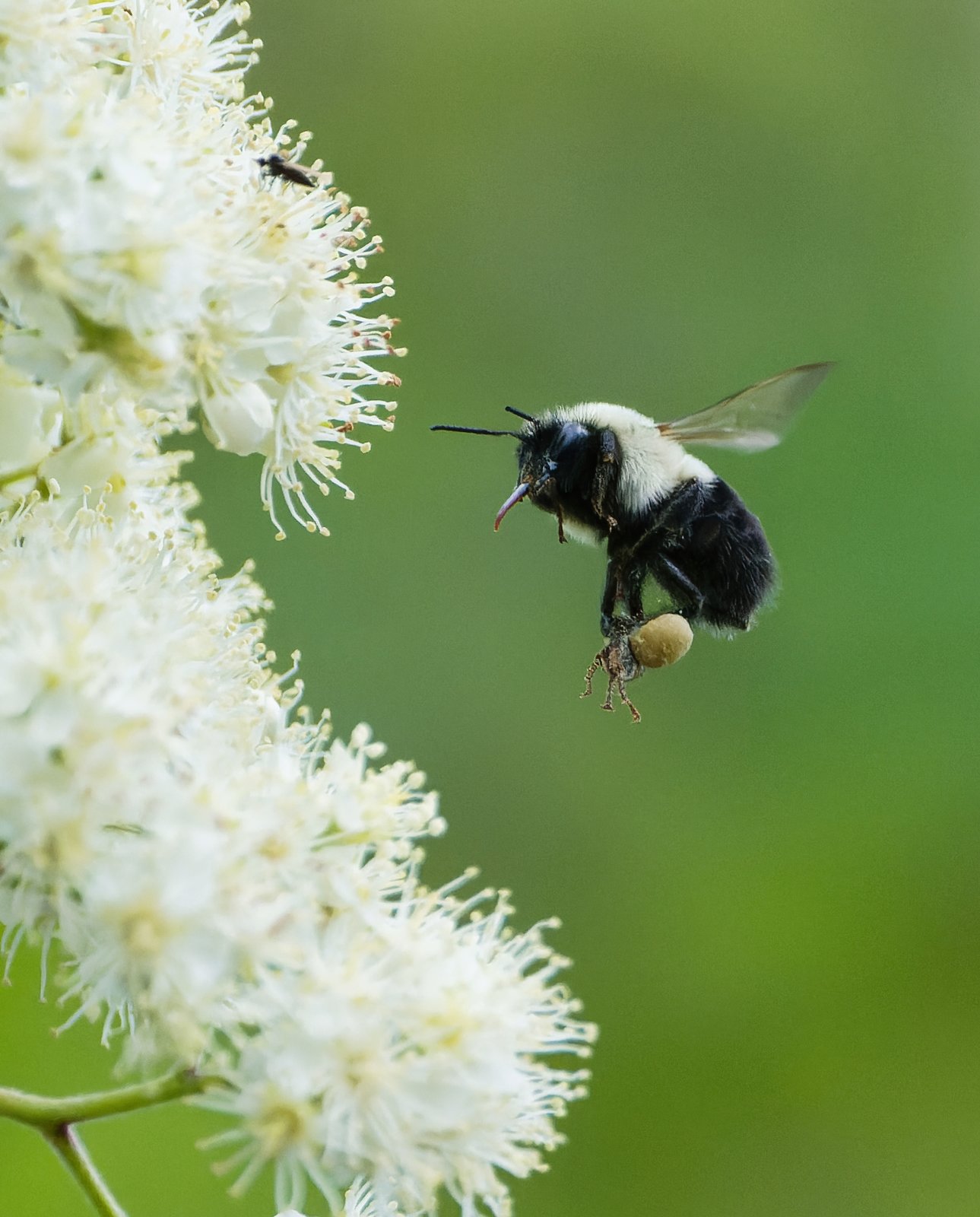 NIK_2505 final.smaller.jpg