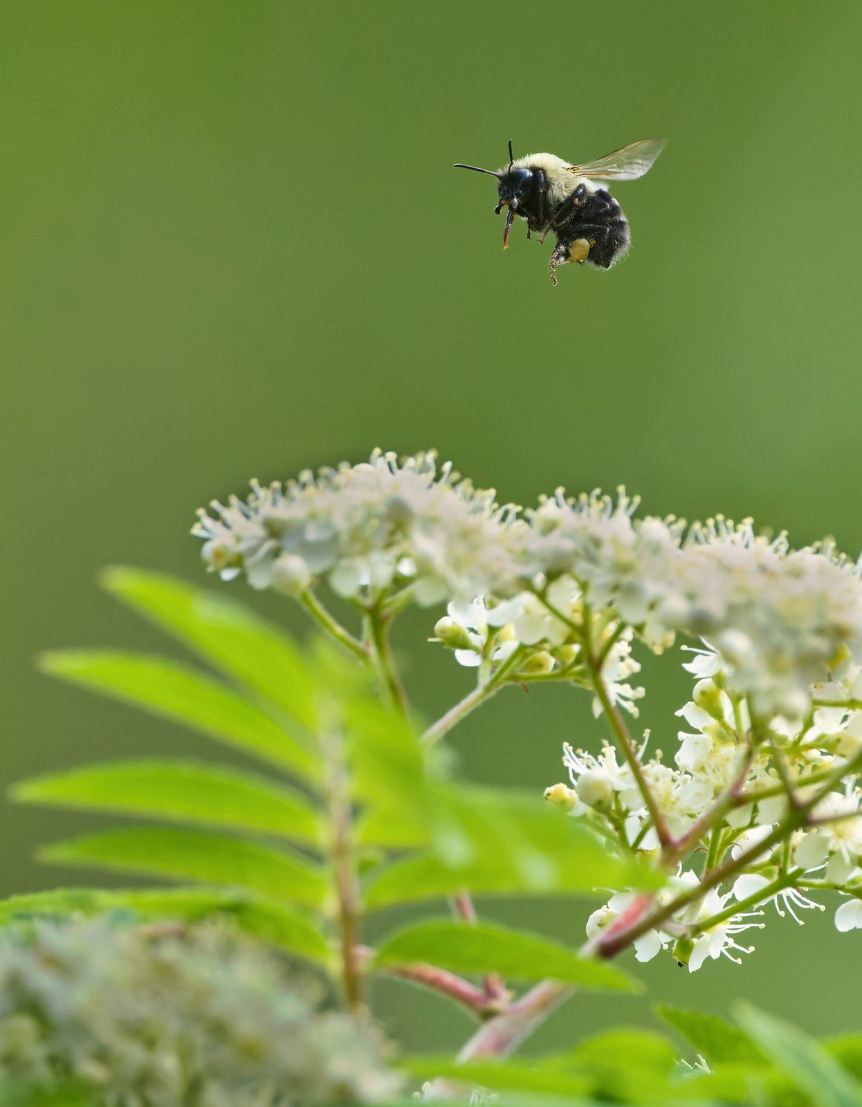 NIK_2751 finalsmaller.jpg