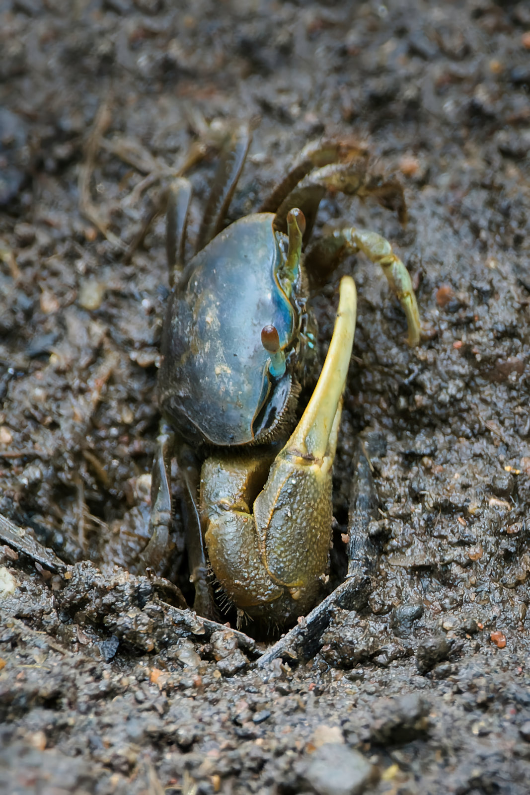 NIK_9831 final large.jpg