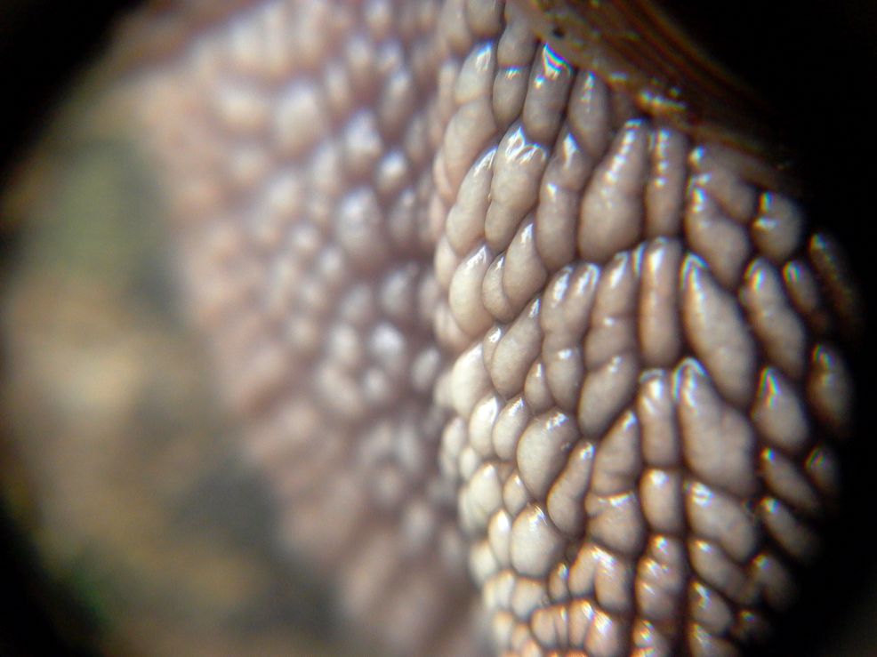 P1070425.JPG