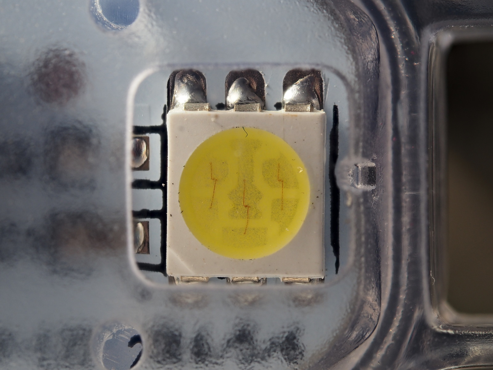P5191548-dprf.jpg