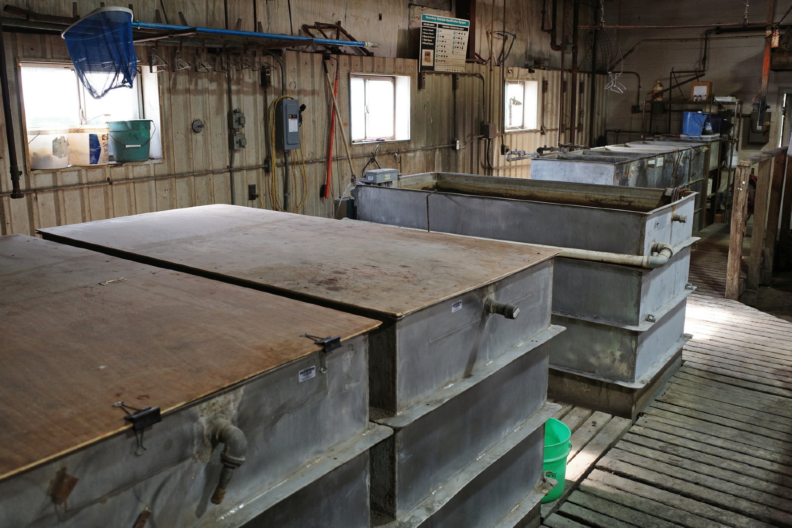 R0000937.JPG
