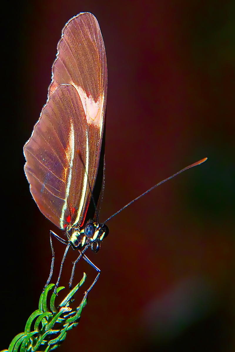 Sample 22.jpg