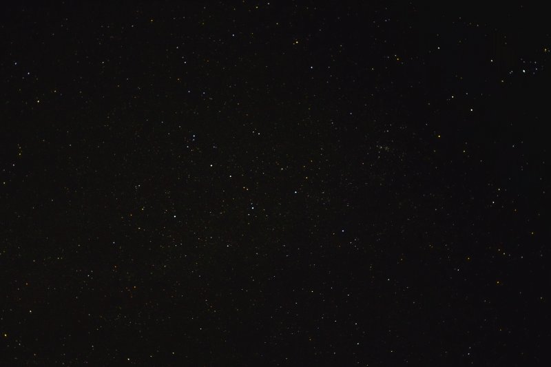 SDIM0258_s.jpg