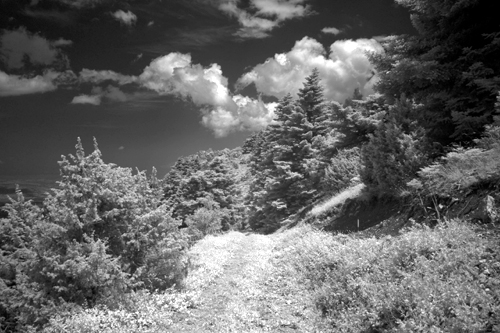 SDIM0388.JPG
