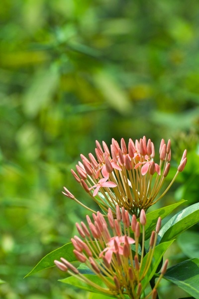SDIM0395.jpg