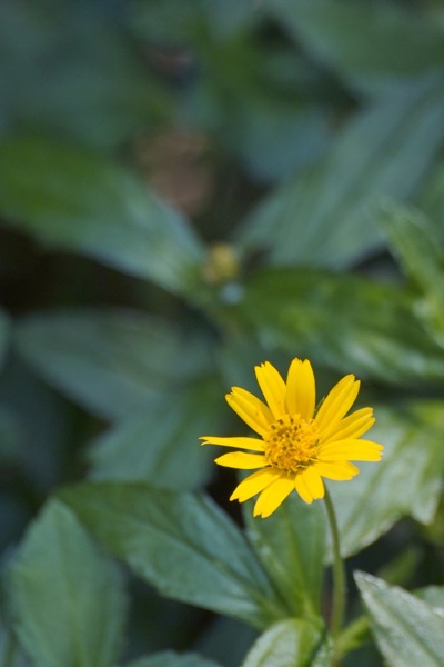 SDIM0403.jpg