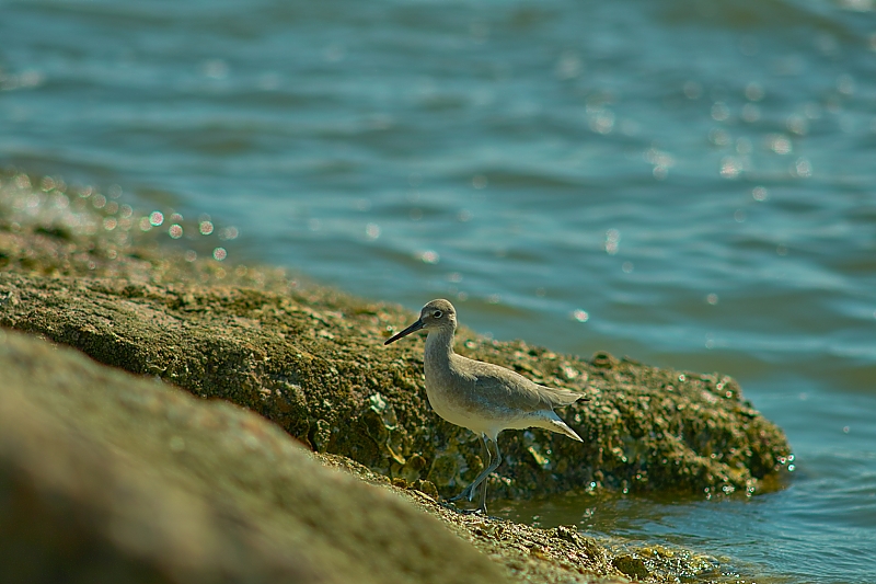 SDIM0662.jpg