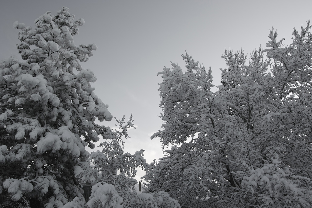 SDIM0678-bw-s.jpg