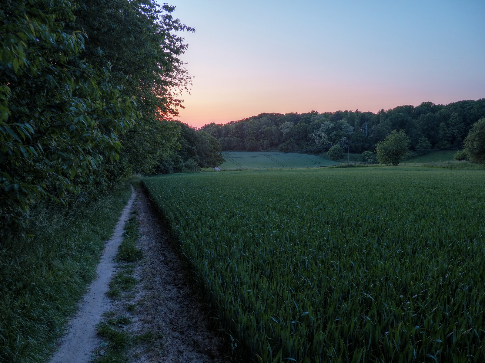 Sunset Field 1