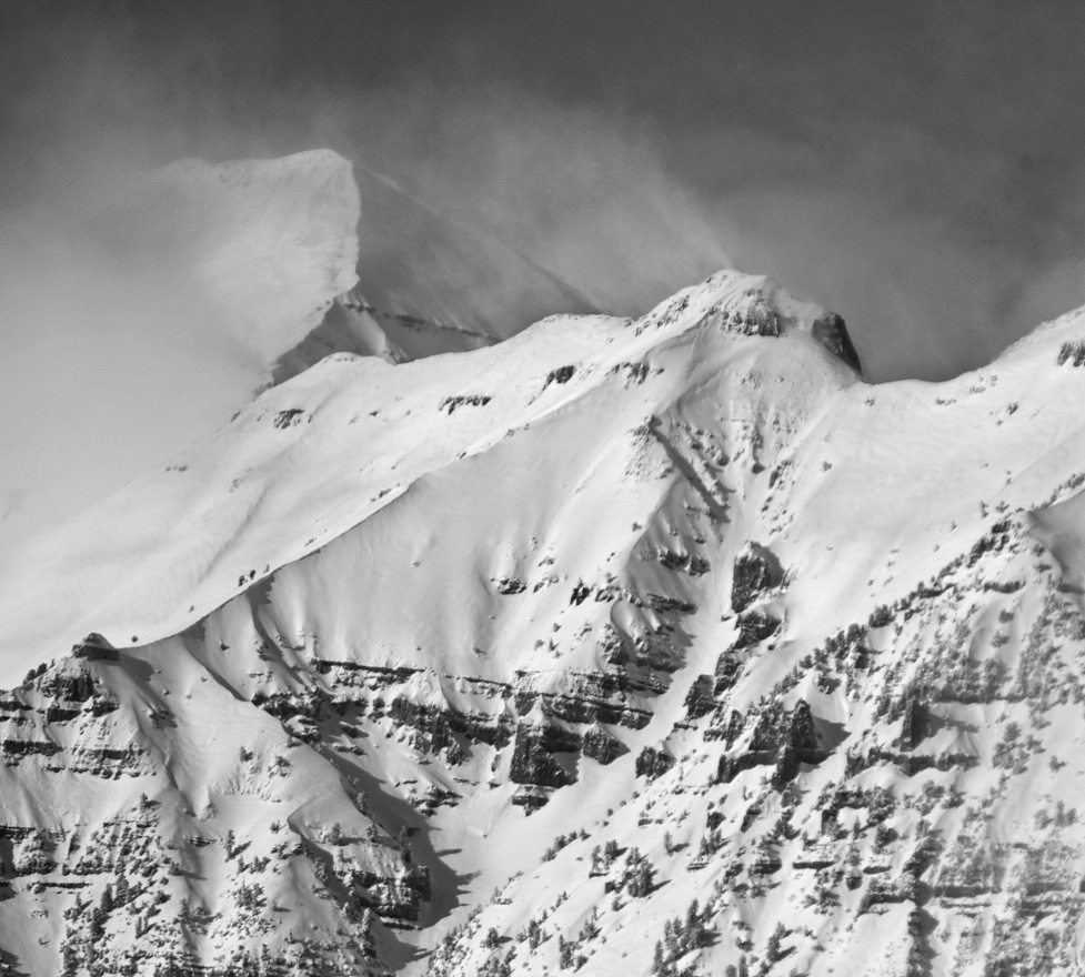 Timp02BWs.jpg