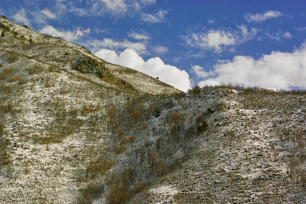 WasatchFoothills1.jpg