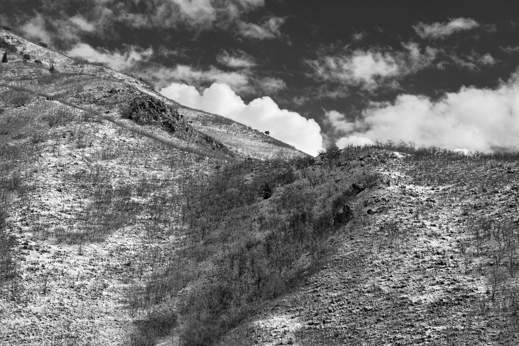 WasatchFoothillsBW.jpg