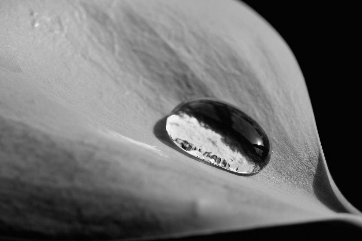 water beads 5.JPG